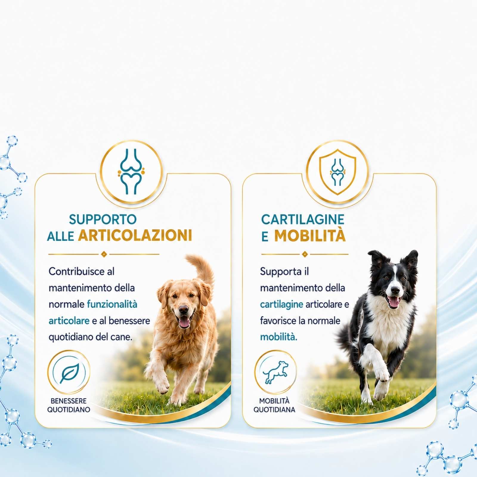 Artimobility - integratore Articolare per cani