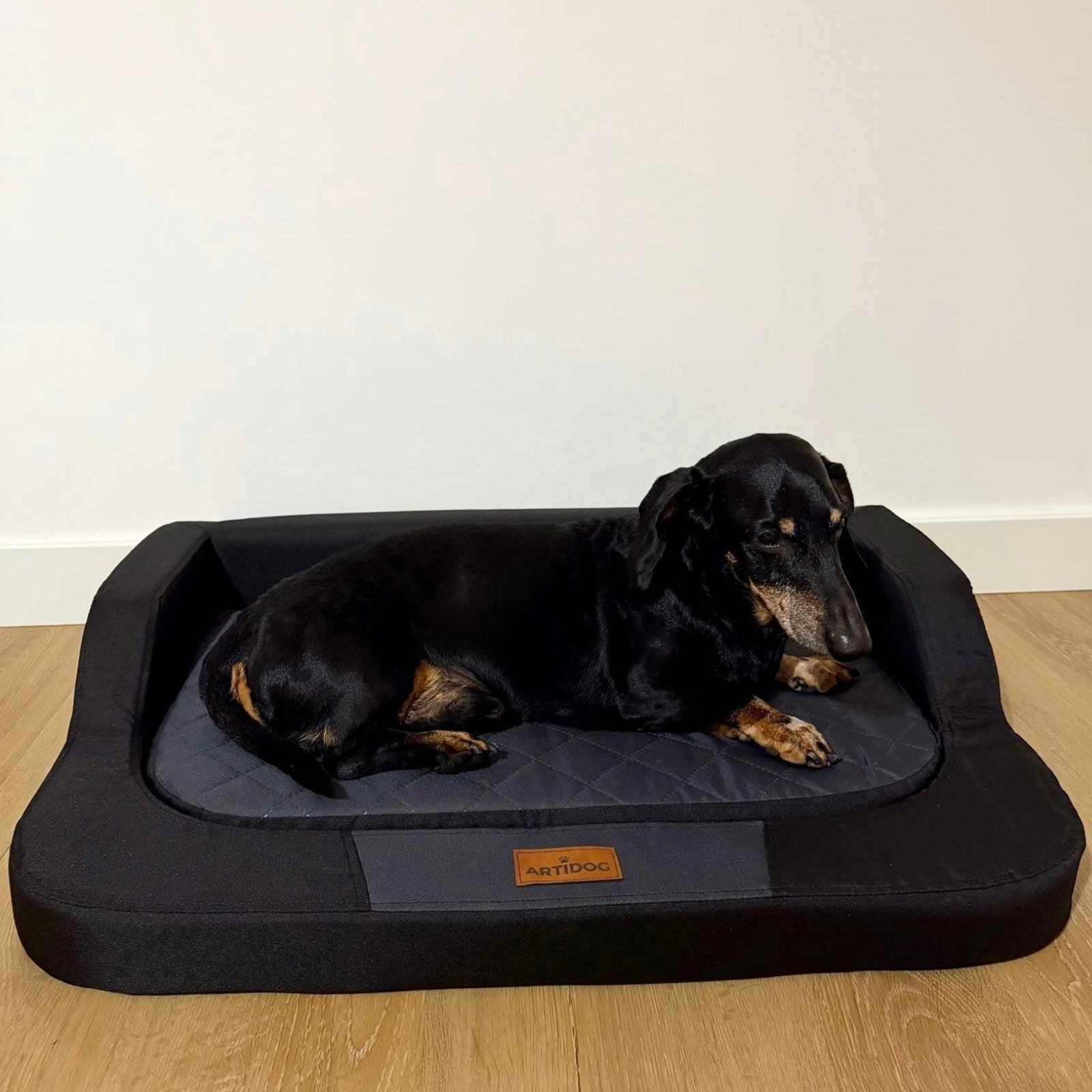 Cane anziano sdraiato su materasso ortopedico Artidog nero, bordo rialzato per massimo comfort