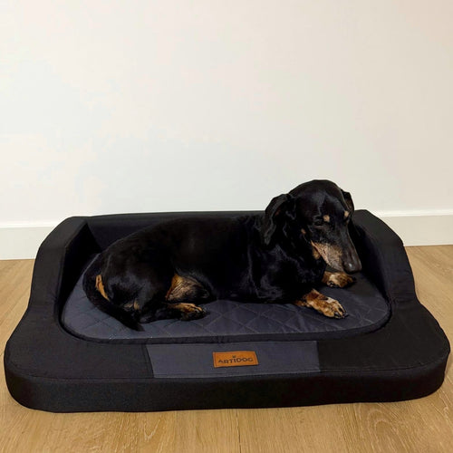 Cane anziano sdraiato su materasso ortopedico Artidog nero, bordo rialzato per massimo comfort